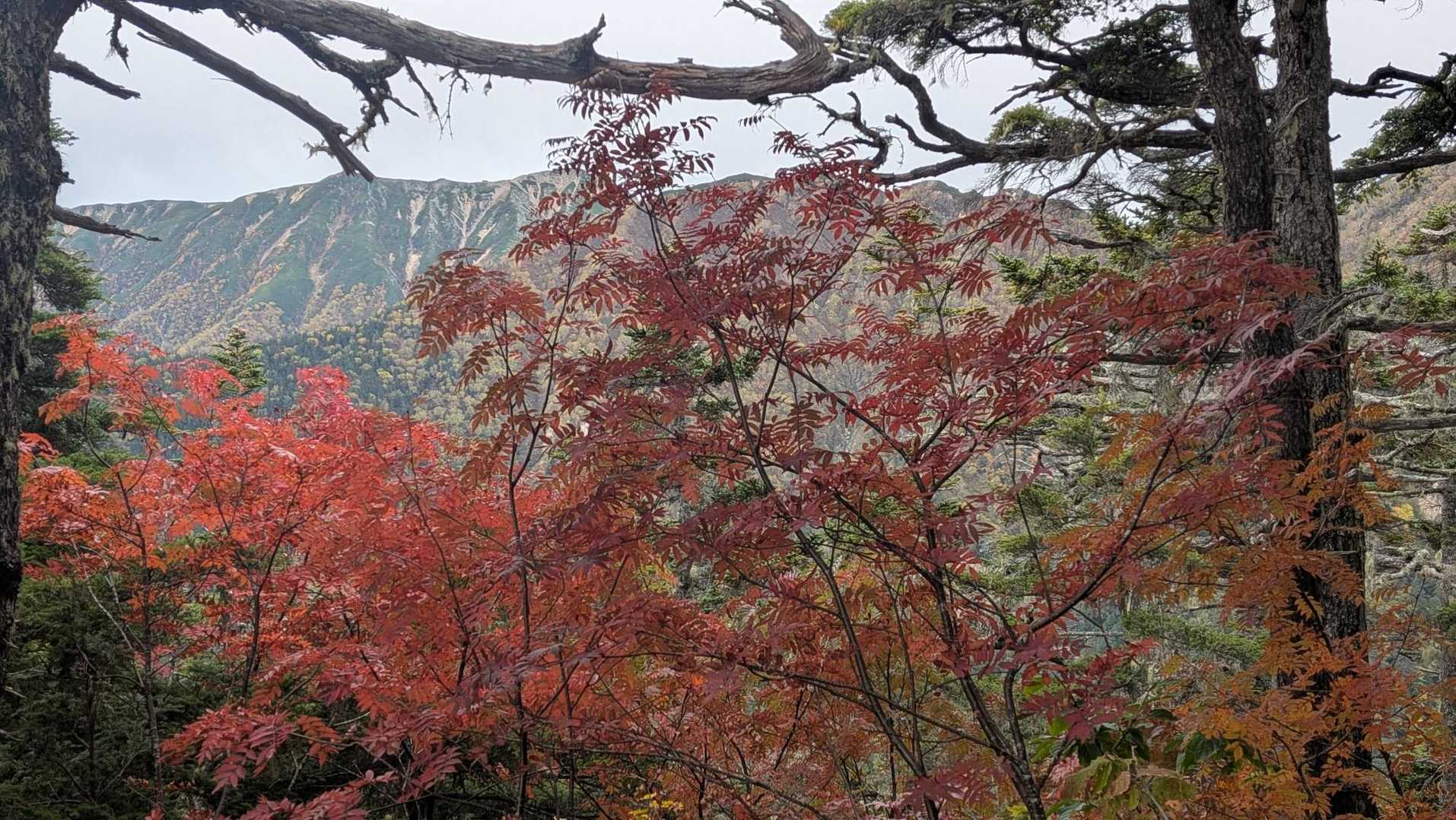 大天井岳 | 常念山脈最高峰は槍・穂高連峰を間近に望む表銀座・パノラマ銀座の要衝の写真