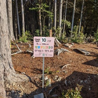 天神山、山頂だ