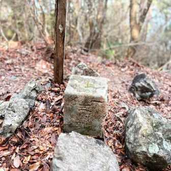 一等三角点、点名「朝熊山」
(朝熊峠から内宮方面に下ったところ)