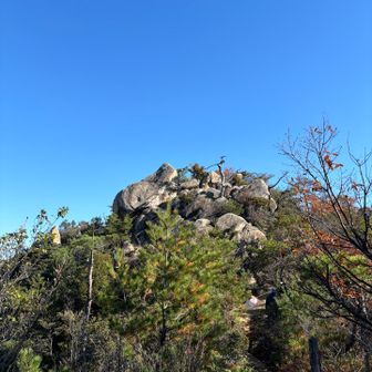 あー！あそこすごい！
と近くまで行ったら、登れません🈲