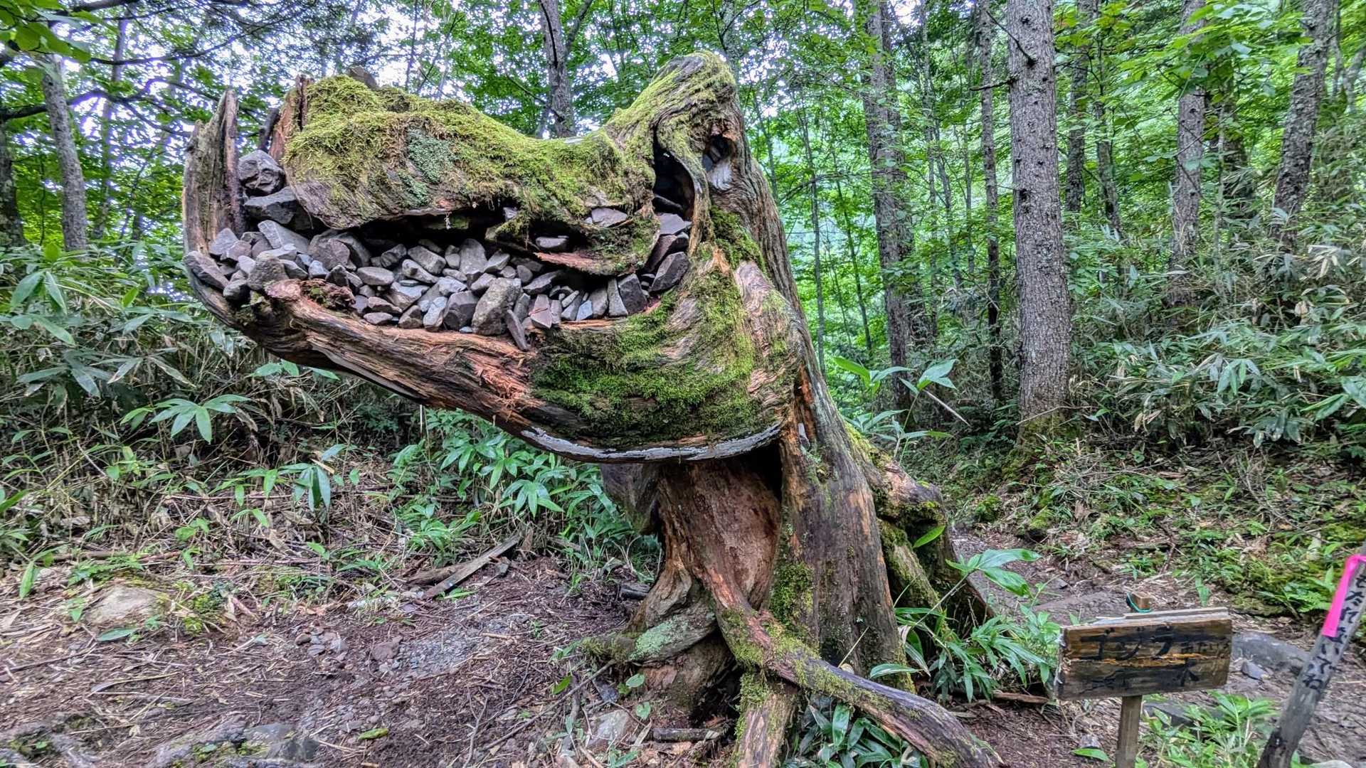 苔で恐竜の肌質感が増し増し👏