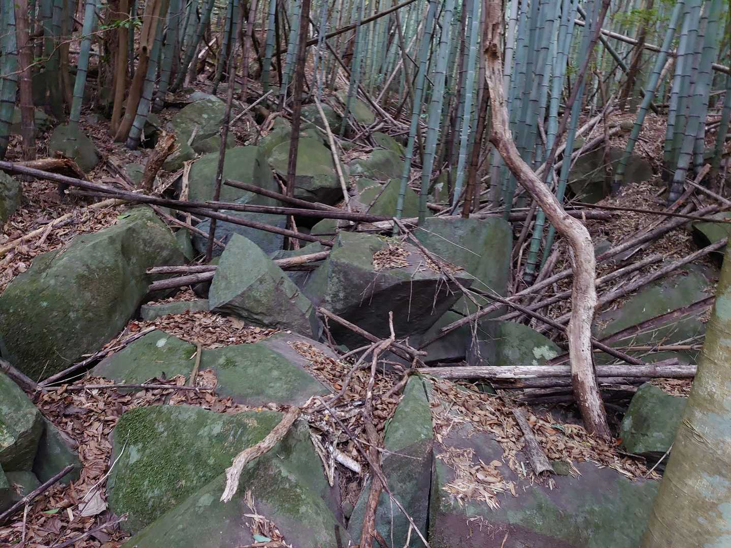 岩がゴロゴロあり