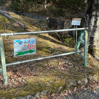 登山口はこちら