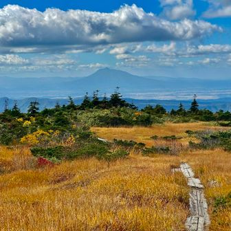 草紅葉の向こうに岩木山⛰️行かねば！