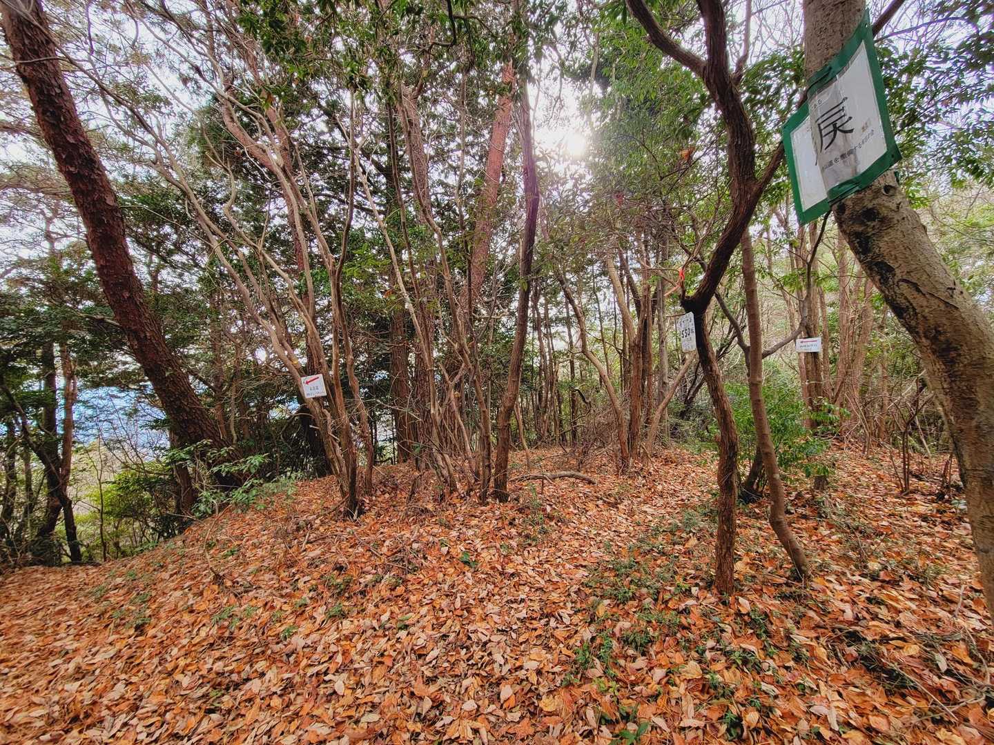 蓮華山 周回コースの写真