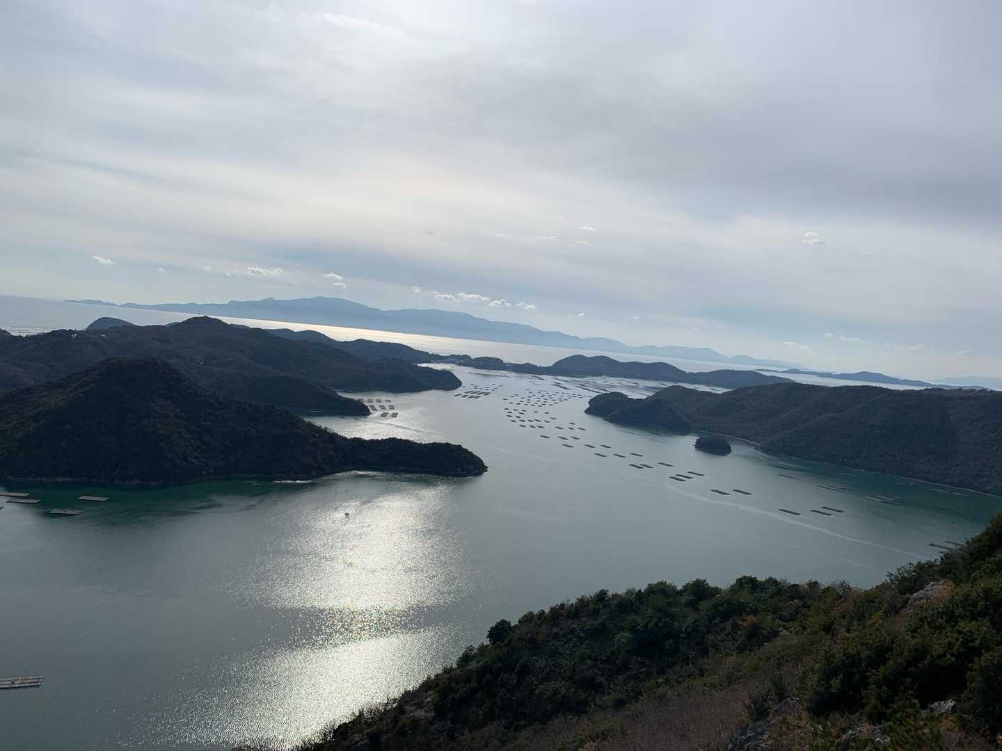 夕立受山 往復コースの写真