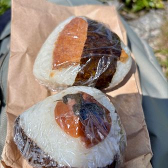 ヒュッテで頼んだおにぎりです。
梅干しとフィッシュカツだと思います😋