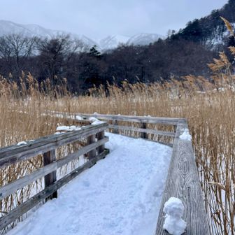 ただの白い球2個積み上げただけになっちゃった😅