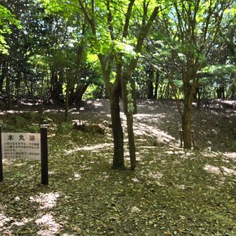 本丸跡