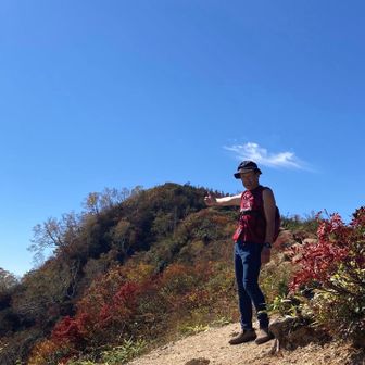 奥に見えるのが小遠見山山頂🐒