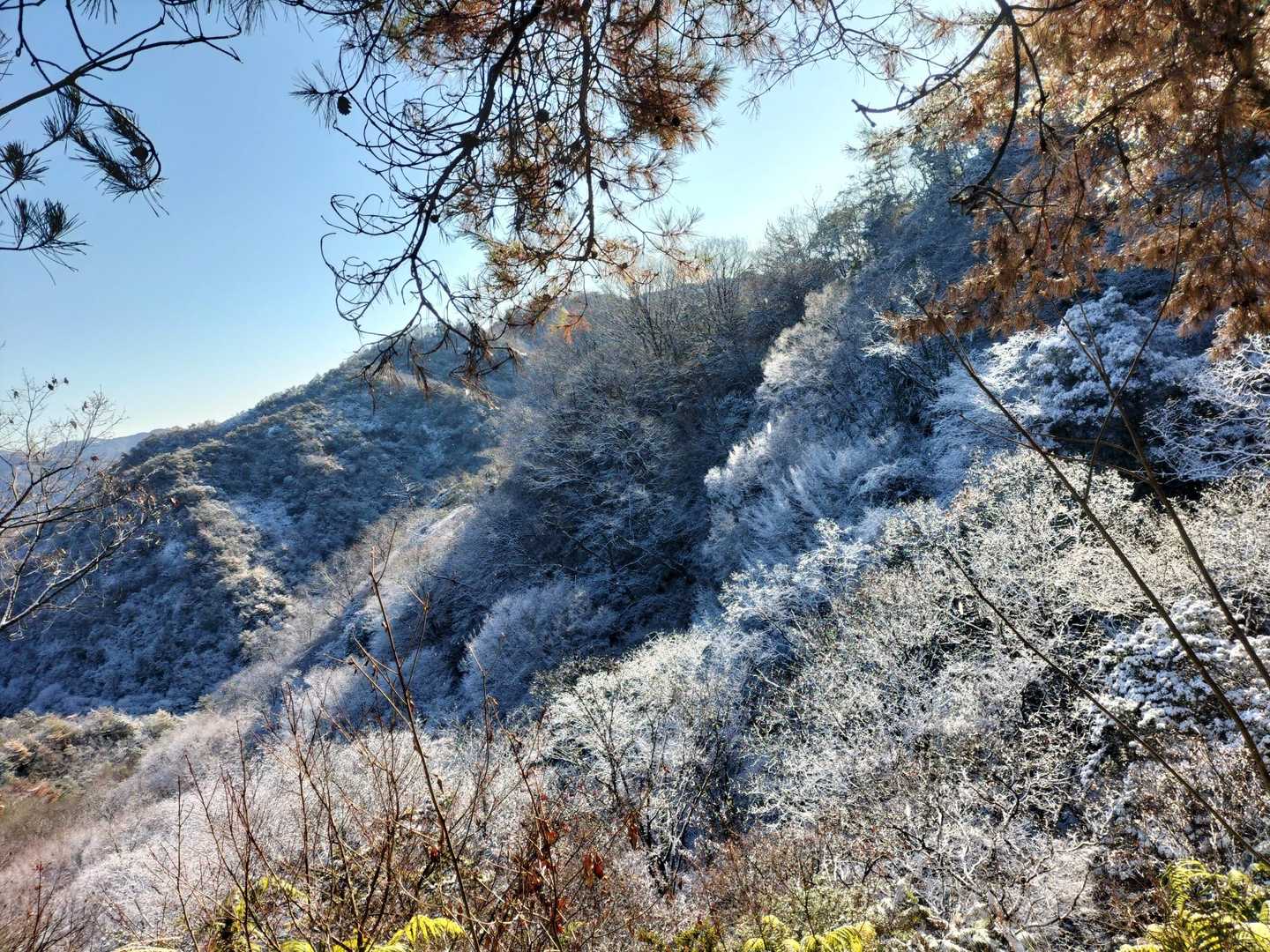 今日だけの景色