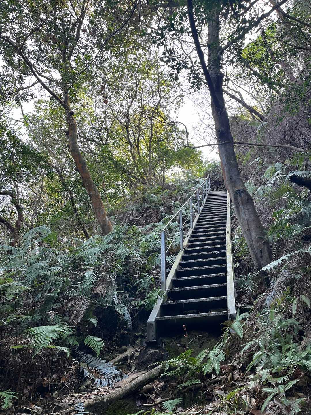 四王司山登山口-四王司山-勝山-田倉山 周回コースの写真