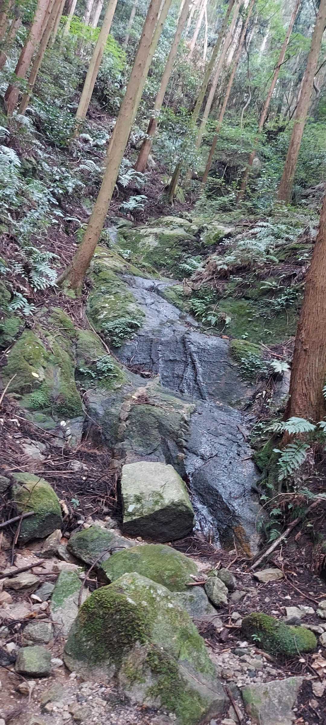 心洗泉