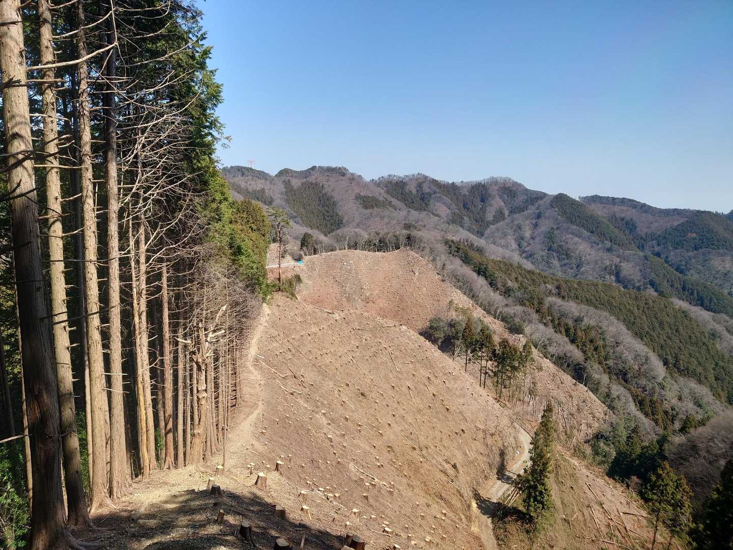 グレーピーク「弾左衛門ノ峰」（669㍍）付近の大伐採地に到着！
ザラついた魔の黄色い粉に晒され、ミニトマトしか喜ばない日光に焼かれ、気温は25℃、無風。
エルサもパンツを着用するくらいの寒波に見舞われた前回の「第一回試走会」とは真逆の環境に体が対応できていません。
エルサと言えば、先週の「板橋シティマラソン」も狂気の極寒でした。アレンデール王国並みの寒波に喜んでいたのはオラフくらいだったと思います。
あの日、あまりの凍えに、酷暑カムバーーーック！俺に少しも寒くないわ、むしろ暑いわ、と言わせてみろーー！と挑戦的な事言っていましたが、取り消しのうえ、お詫び申し上げます。