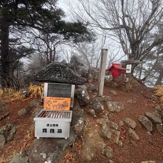 十二ヶ岳山頂🙌