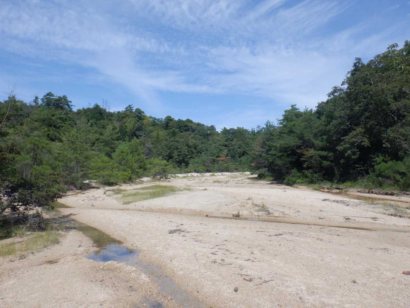 砂場にもほぼ流れ無し