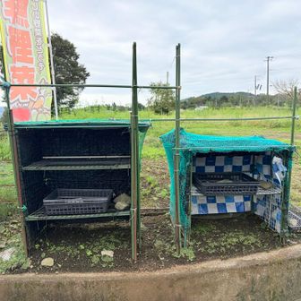 あ、空っぽ、、早すぎた、、残念😢

舗装路に出てから「あれ？もしかして今日過去最速なんじゃ、、？」と思ってセコくマイカーまで走りました😎✨