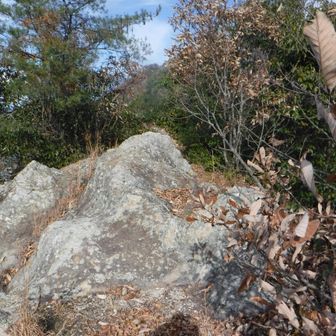 古宮神社の横から岩尾根へ入る