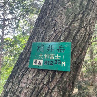 額井岳。大和富士らしいです。
休憩スペースも作られています。