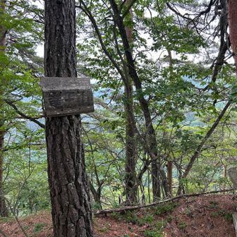 竜王山山頂