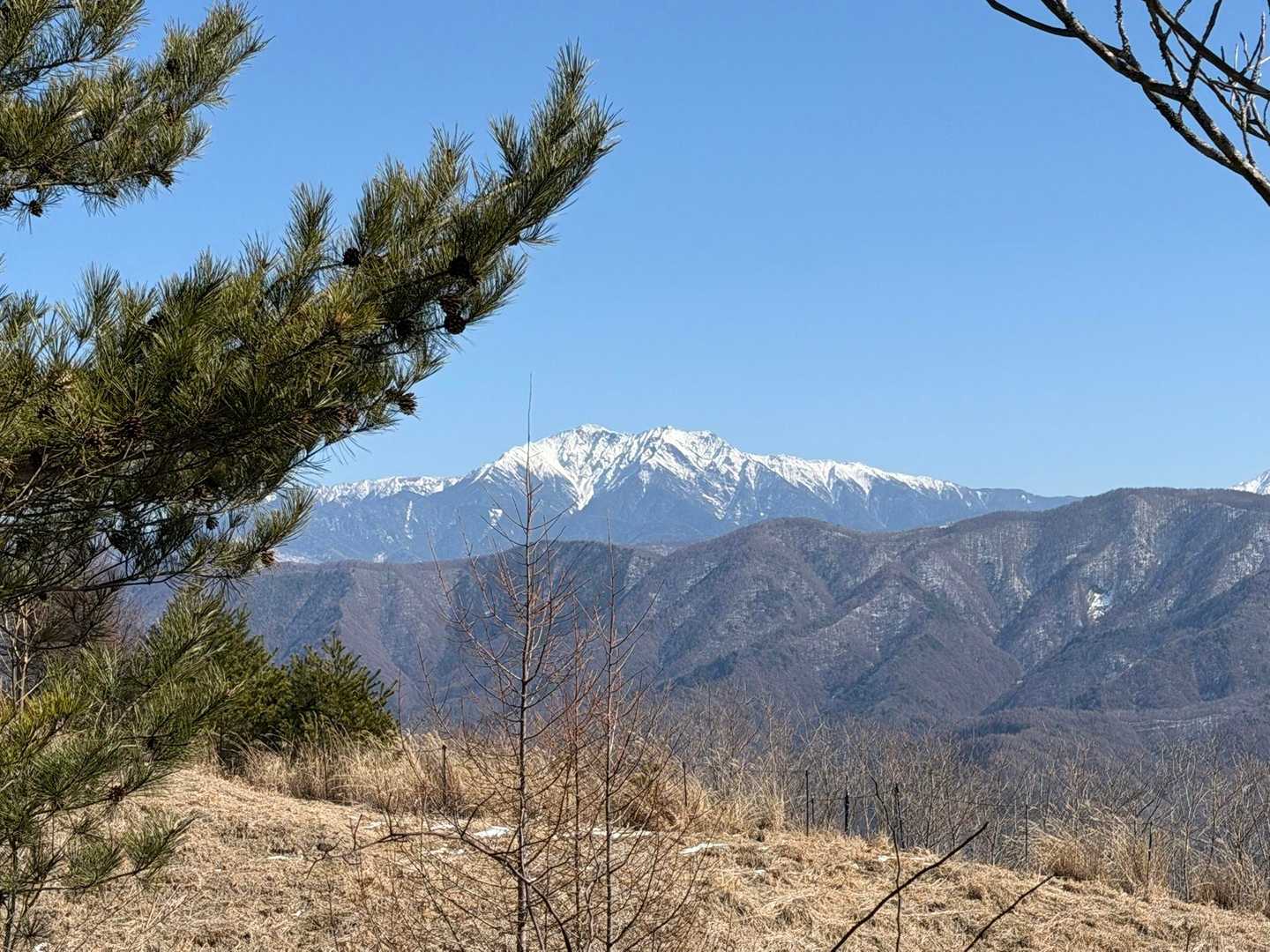 仙丈ヶ岳