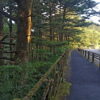 登山口までわずかに移動
