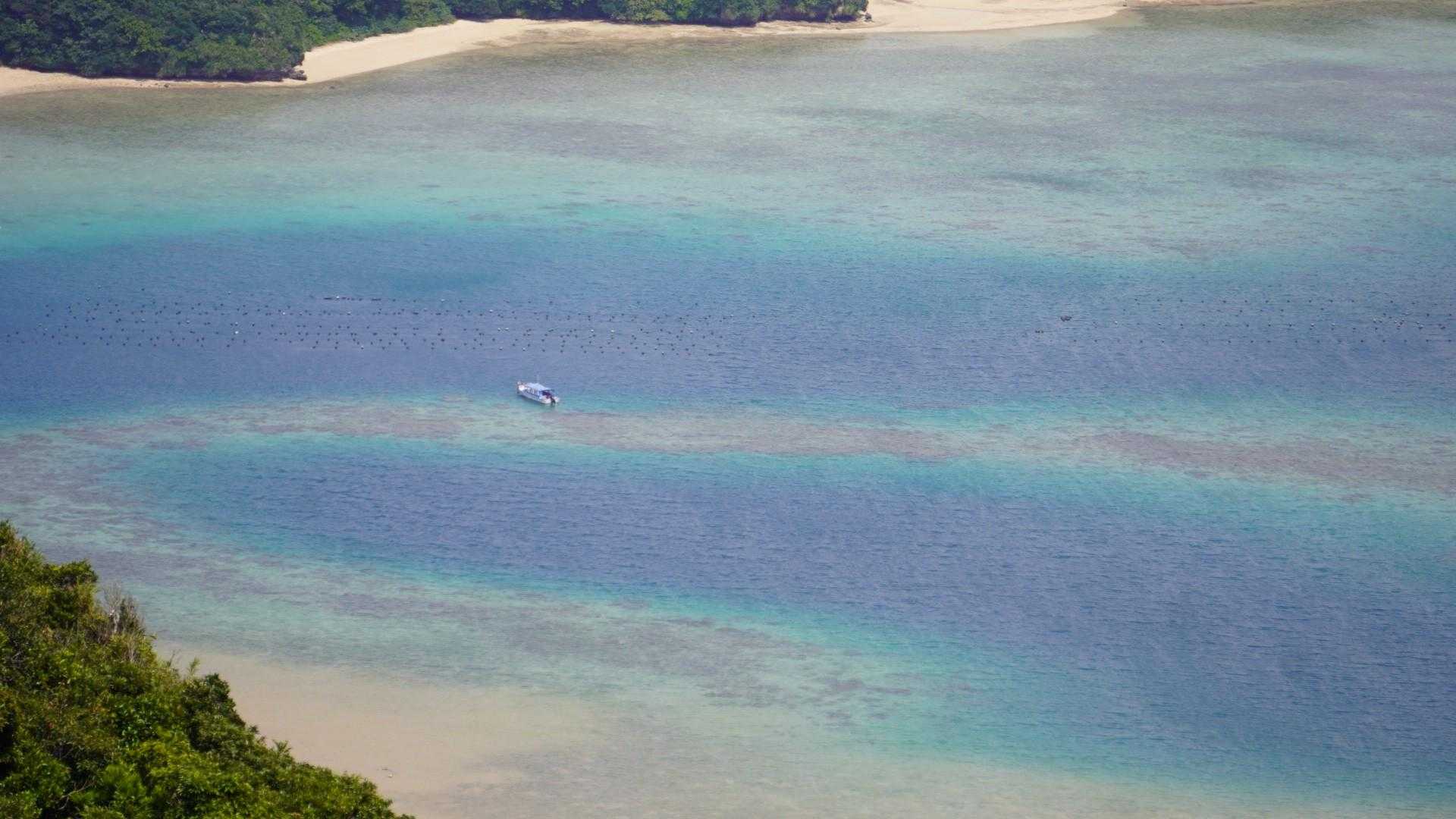 前嵩 往復コースの写真