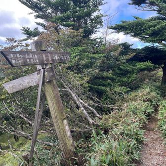 ここから左⬅️に下ります。