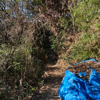 城跡から北高尾北陵コースに接続する
他の高尾山コースと比べて微妙に荒れた雰囲気