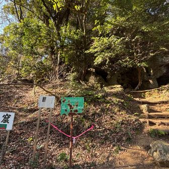 こちらでございました
ダンジョン！　