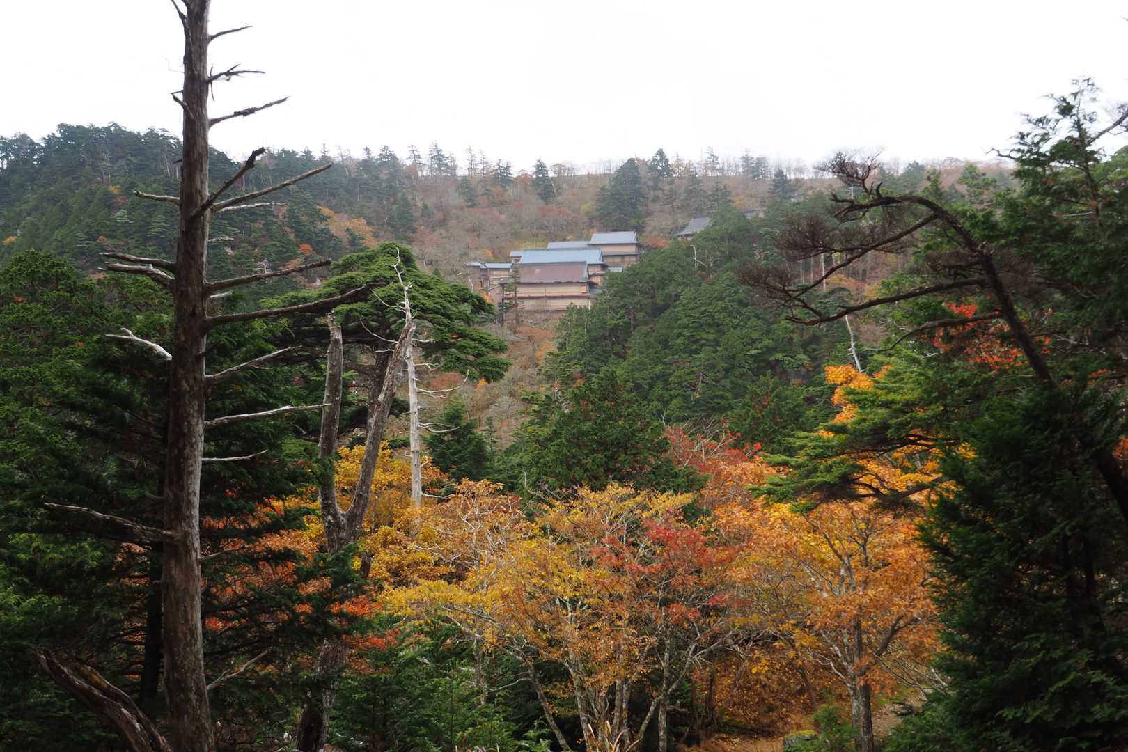 宿坊が見えてきました
