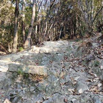 記憶のとおり山頂までALL 急登でした😈

岩が多い足場もカチコチに凍っています🧊

ピストン下山なので帰りは注意しなければ⚠️