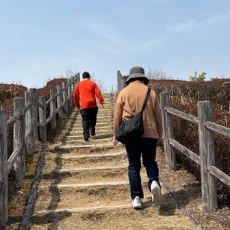 よちよちと歩いています。
ケガが怖いので、早く引退して欲しいのですが・・。
まだまだ，続けたいみたいです。