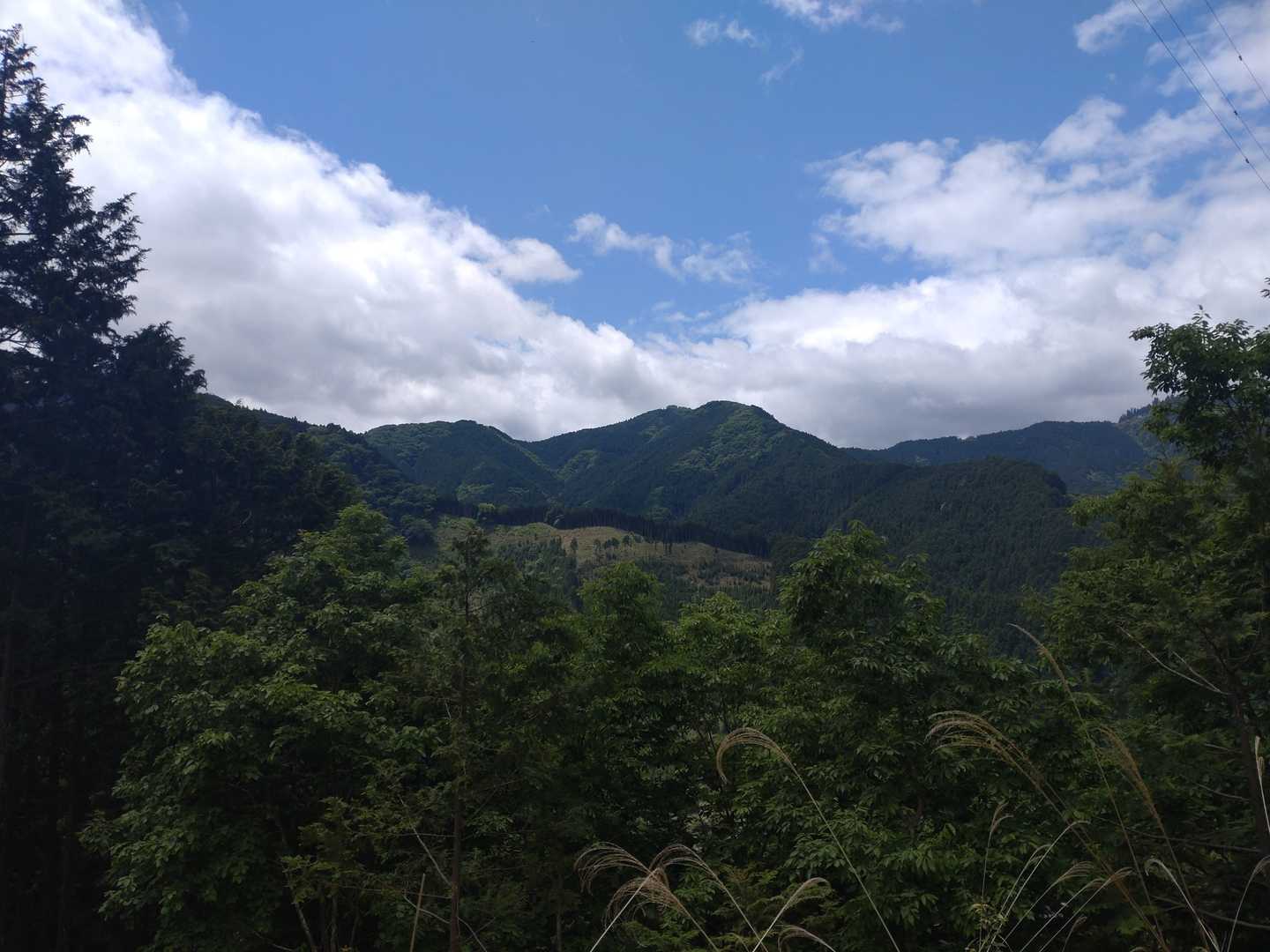 晴れたね🌞