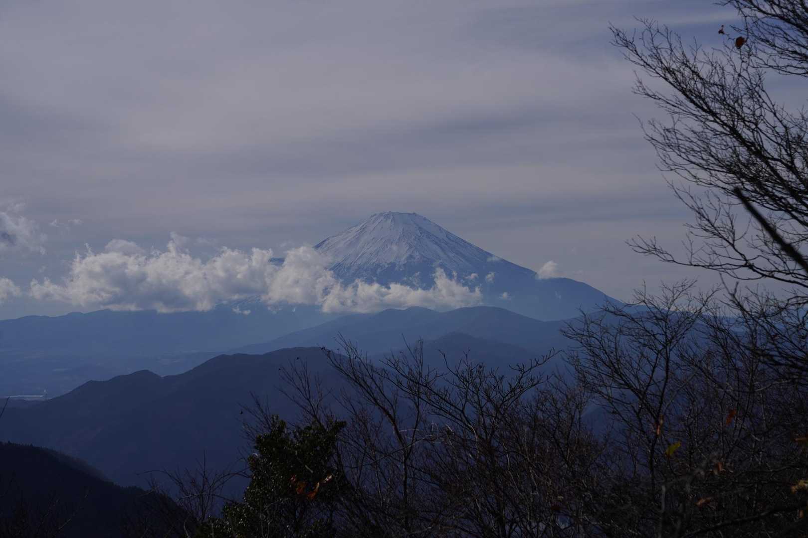 雨山峠-雨山-檜岳-伊勢沢ノ頭-秦野峠-林道秦野峠 周回コースの写真
