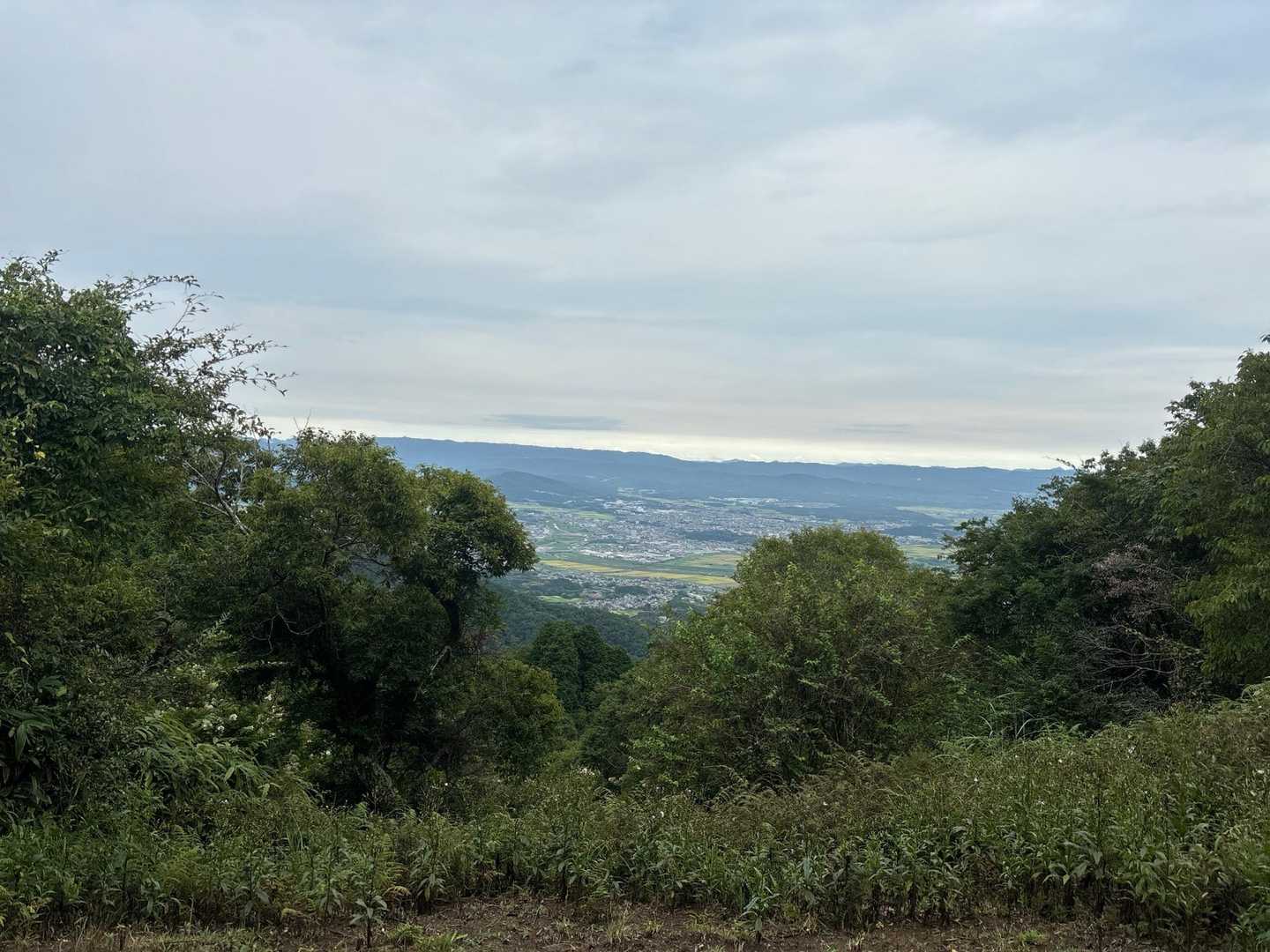 御斉峠-高旗山 往復コースの写真