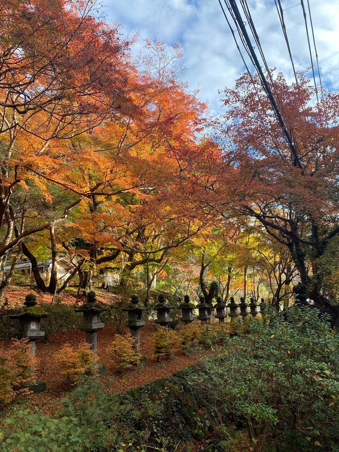 談山神社バス停-談山神社-御破裂山-多武峰 周回コースの写真