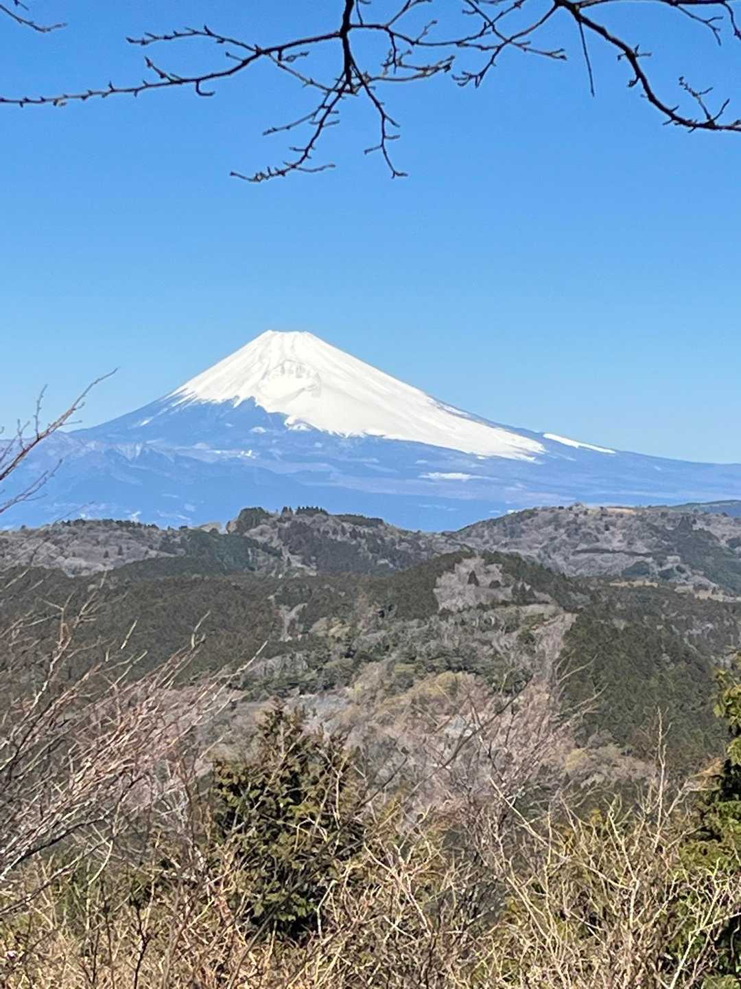 展望ゾーンからはこんな感じ✨