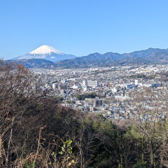 富士山クッキリ！