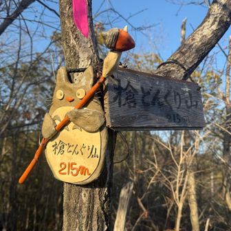 槍どんぐり山| ᐕ)っ🚩
こちらには槍どんぐりトトロ！かわええ…♡