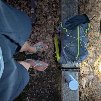 今日もガンバろ٩(｡•̀ω•́｡)وｴｲｴｲｵｰ!