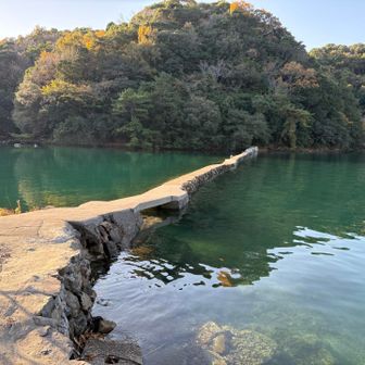 ここはいい感じ