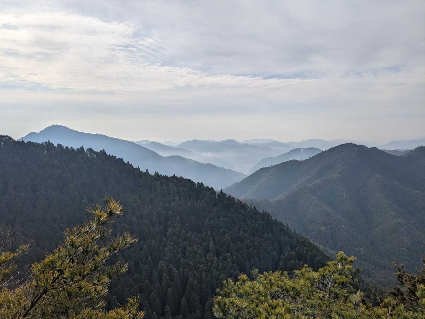 雲海の様