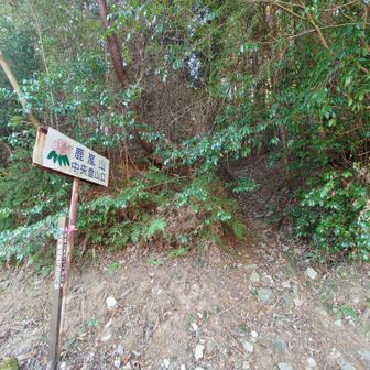 中央登山口の、この看板から取り付き