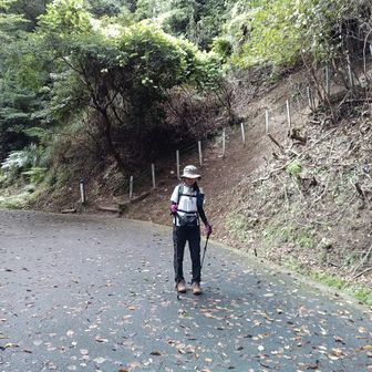 登山道から下りてきました。駐車場は目の前。