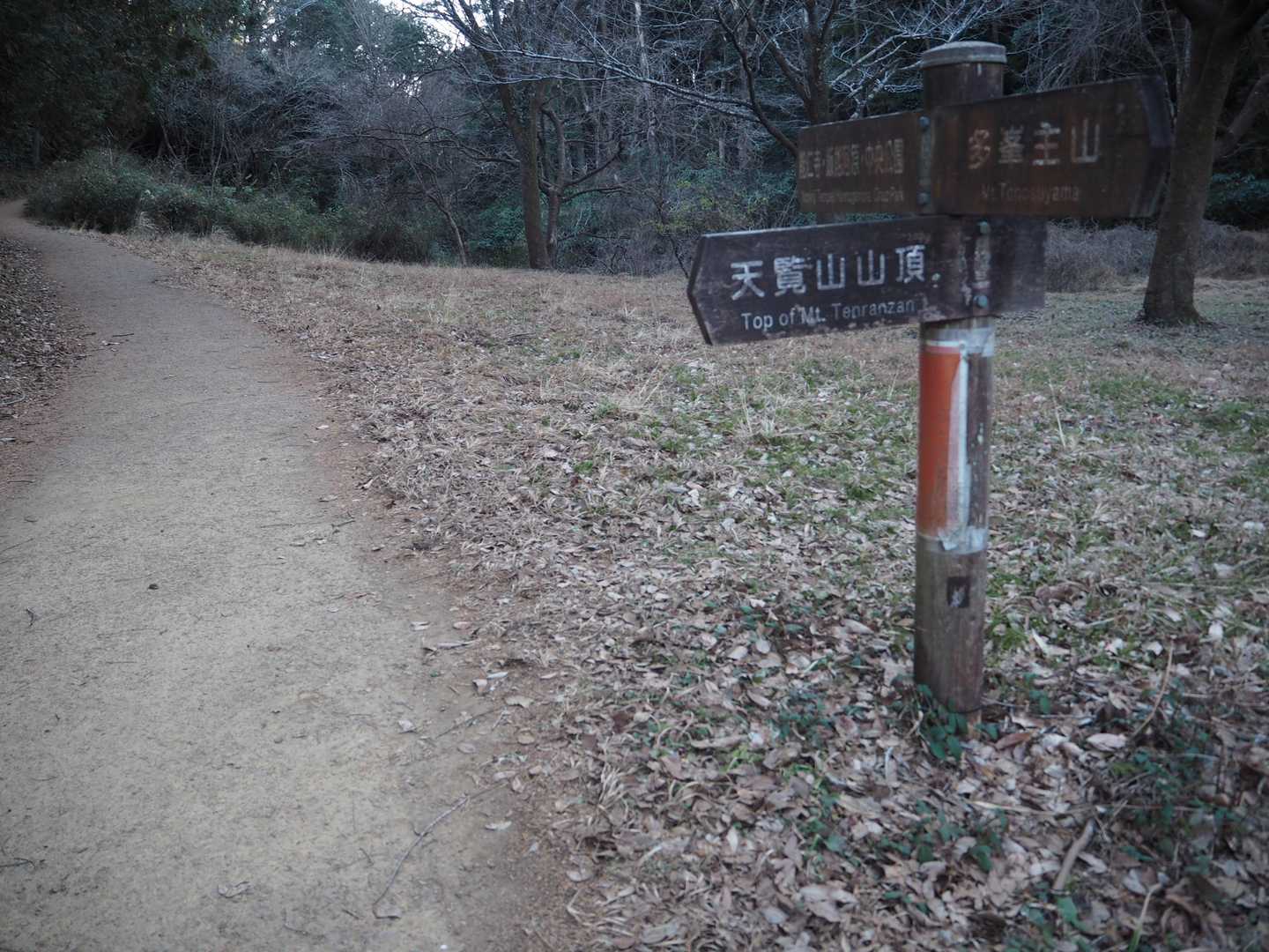 真っすぐ進んでも「天覧山」を巻いて下山できますが、あえて左側から天覧山に寄っていきます。