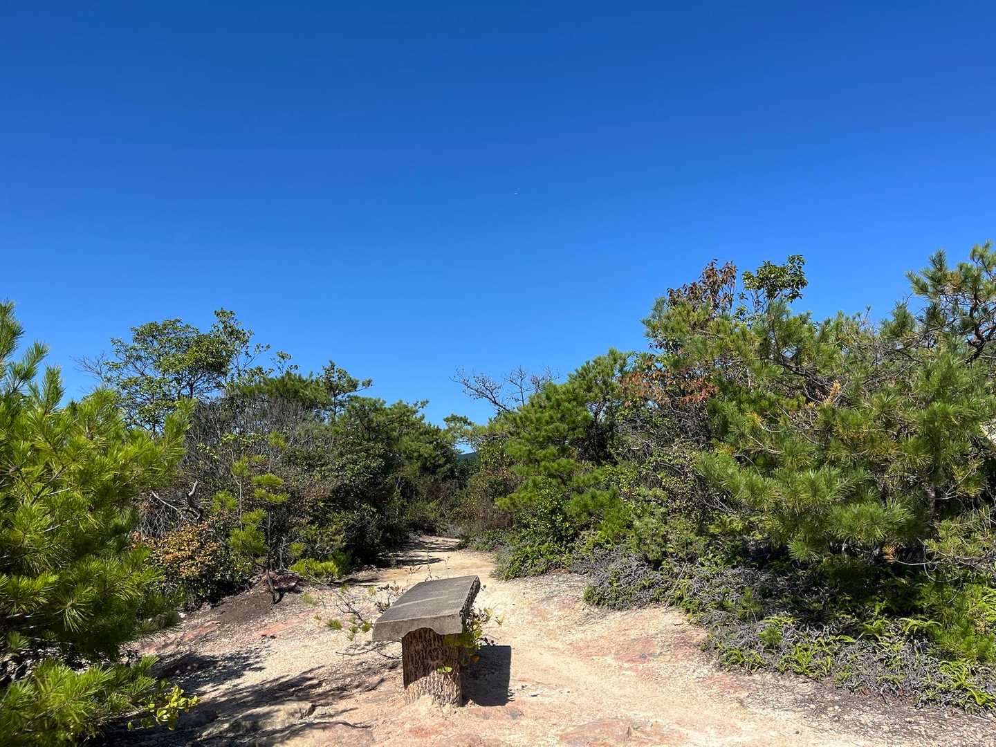 山口登山口-三草山 往復コースの写真