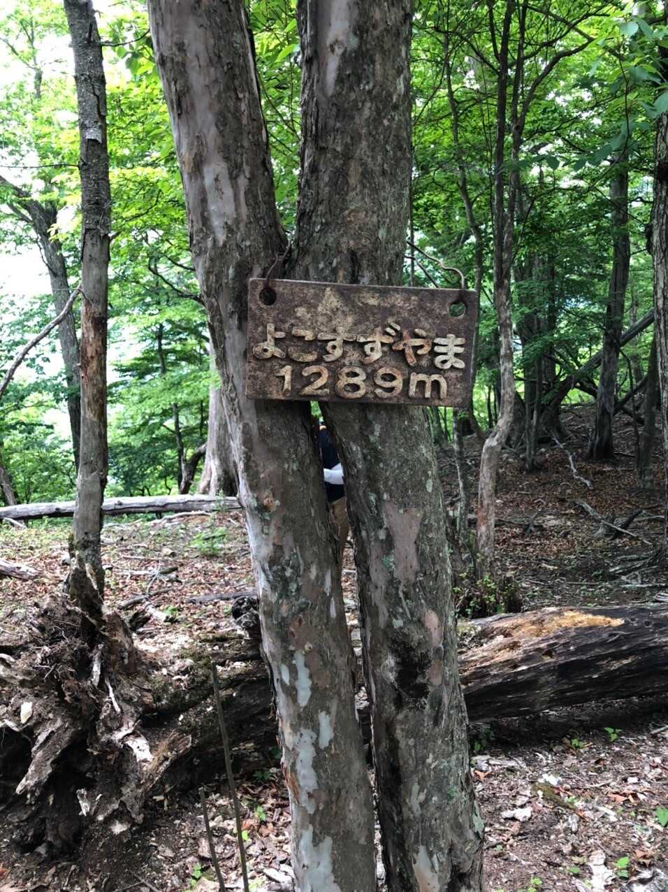 横篶山の写真