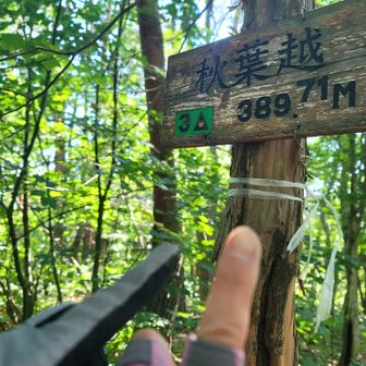 「秋葉越」389mとぉーちょう🐾

ここのピーク何故か分かりにくかったなぁー💦