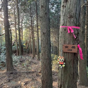 女岳の山頂です🦁